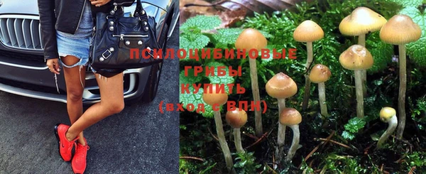 бутират Лиски
