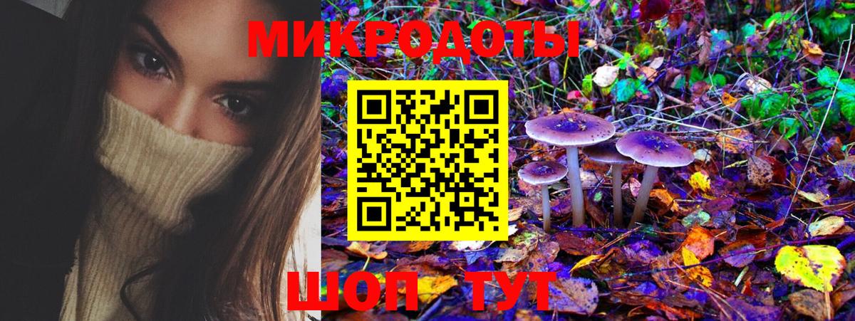 Псилоцибиновые грибы Psilocybe  Псилоцибиновые грибы Magic Shrooms  Вход с VPN  Павлово 